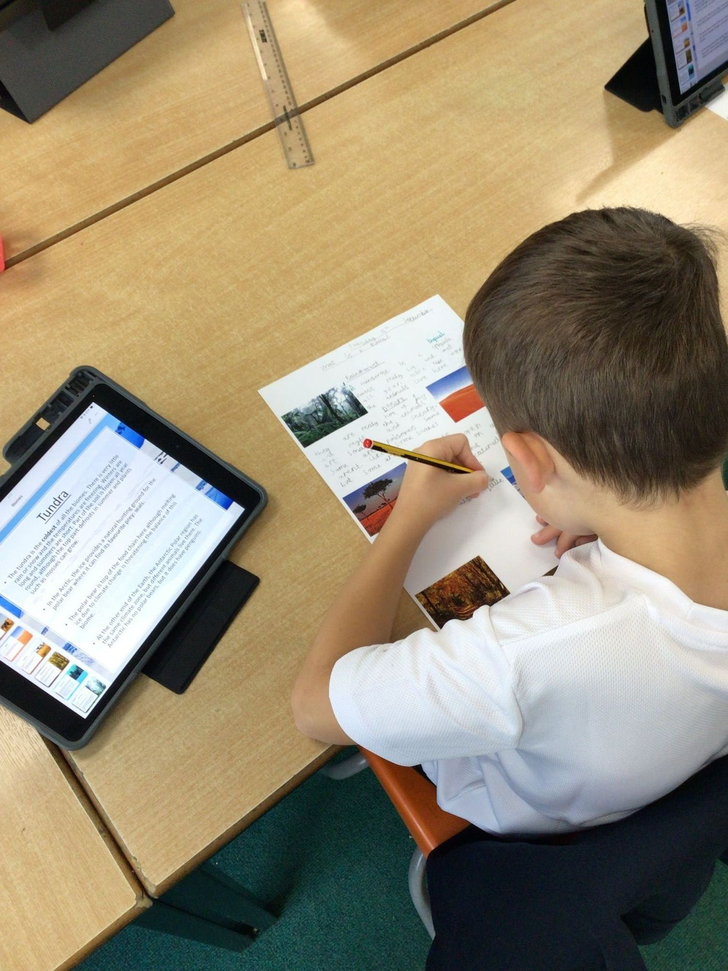 Child working on a laptop